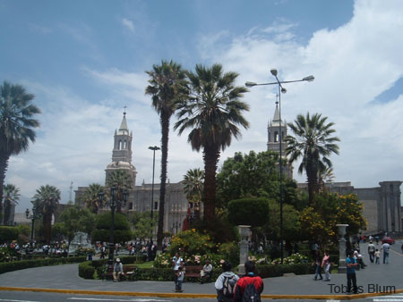 DSCF9550